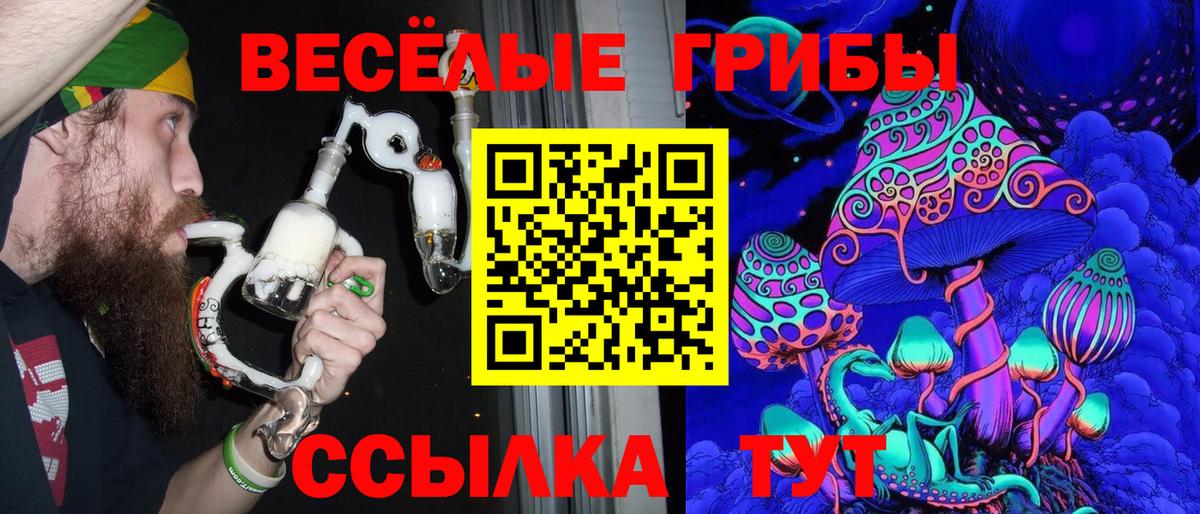 Оренбург  Псилоцибиновые грибы мухоморы  Галлюциногенные грибы прущие грибы  где купить наркотик  Вход с VPN 