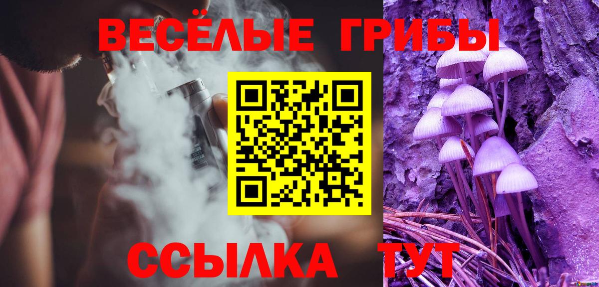 Псилоцибиновые грибы мицелий Оренбург
